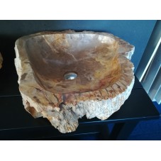 Waskom Versteend Hout