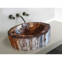 Waskom Versteend Hout