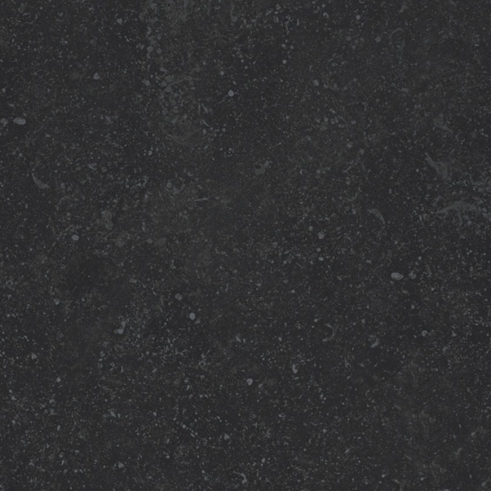 Tuintegel Belgian Black