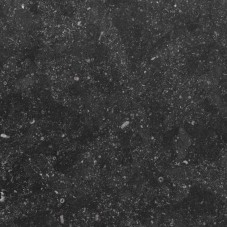 Belgisch Hardsteen Century Gezoet