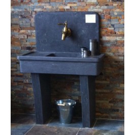 Spoelbak Helleborus China Blue