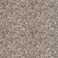 Beachstone Cream