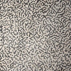 Beachstone Black-White